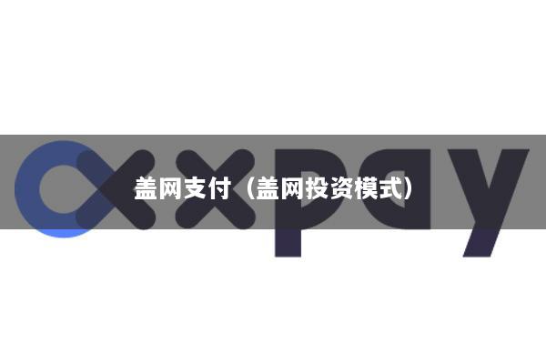 盖网支付(盖网投资模式)