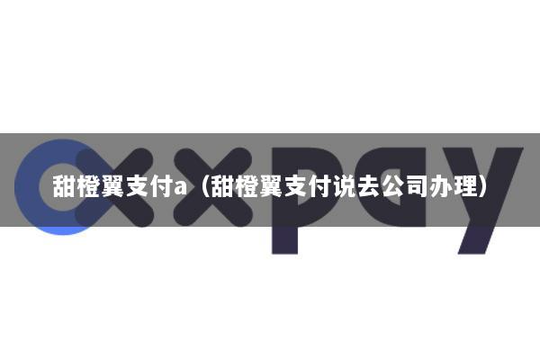 甜橙翼支付a(甜橙翼支付说去公司办理)