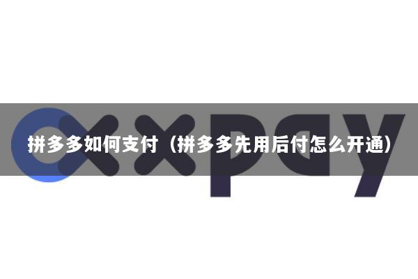 拼多多如何支付(拼多多先用后付怎么开通)