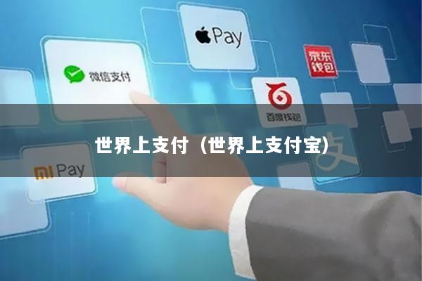 世界上支付(世界上支付宝)