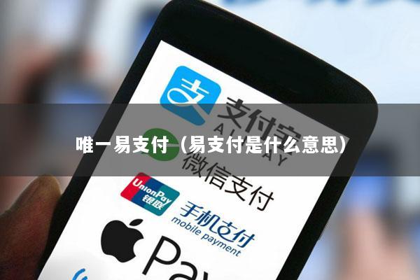唯一易支付(易支付是什么意思)