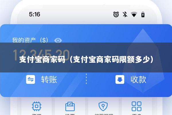 支付宝商家码(支付宝商家码限额多少)