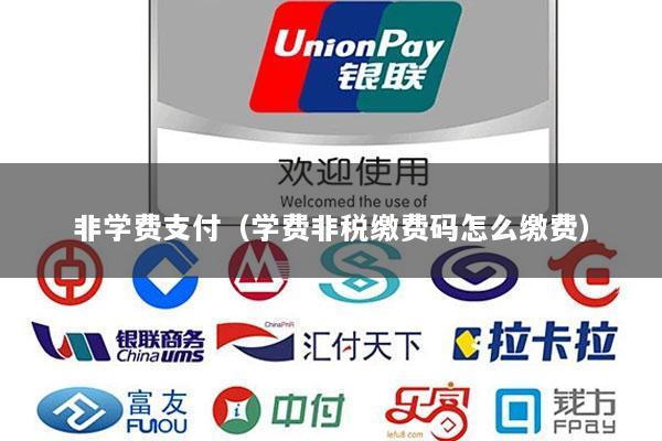 非学费支付(学费非税缴费码怎么缴费)