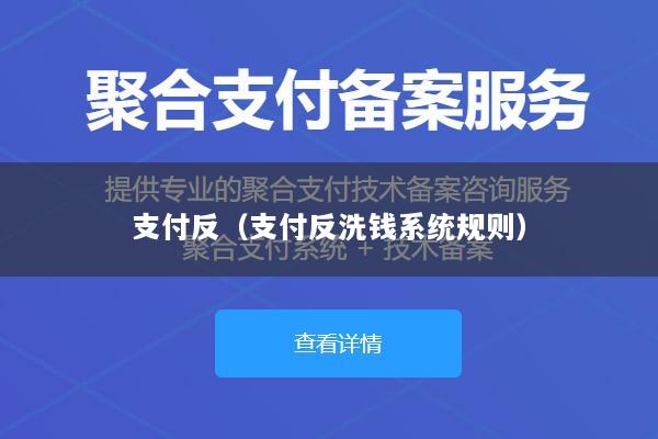 支付反(支付反洗钱系统规则)
