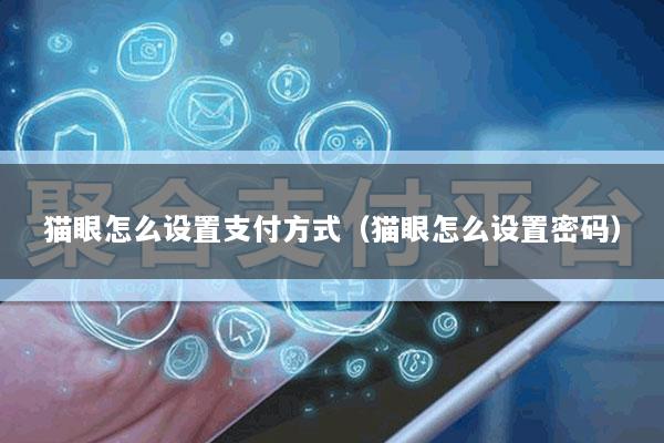 猫眼怎么设置支付方式(猫眼怎么设置密码)