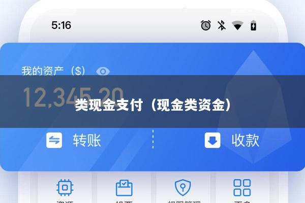 类现金支付(现金类资金)