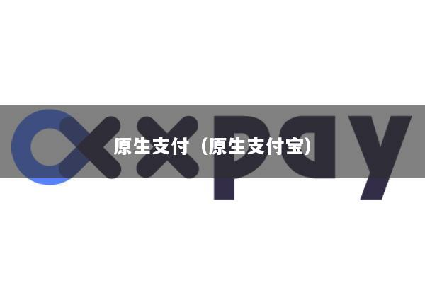 原生支付(原生支付宝)