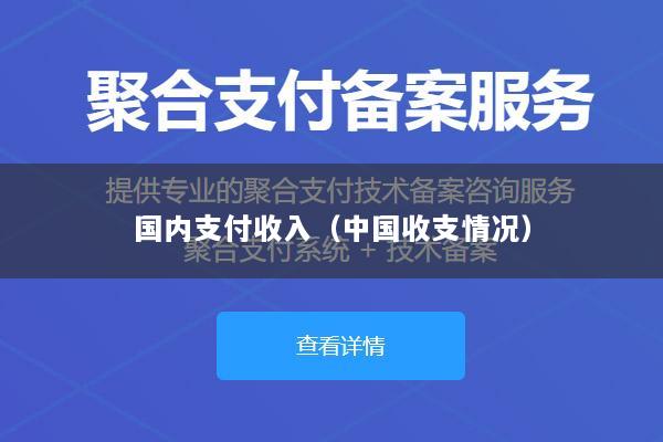 国内支付收入(中国收支情况)